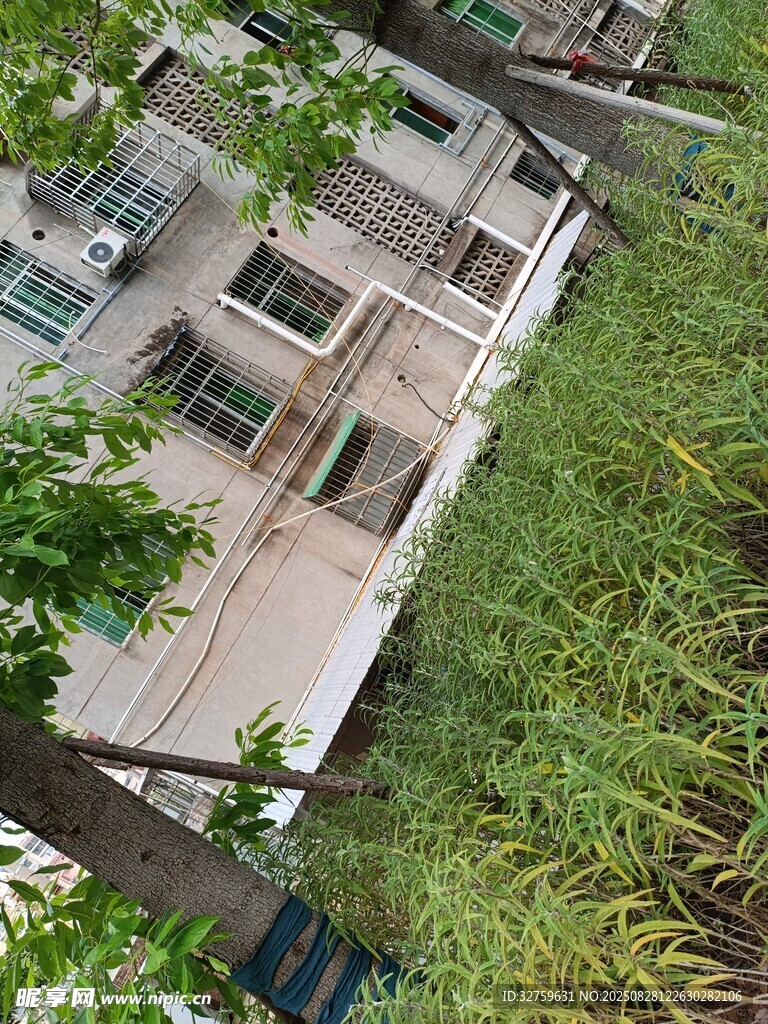 屋頂綠植環(huán)繞的現(xiàn)代住宅