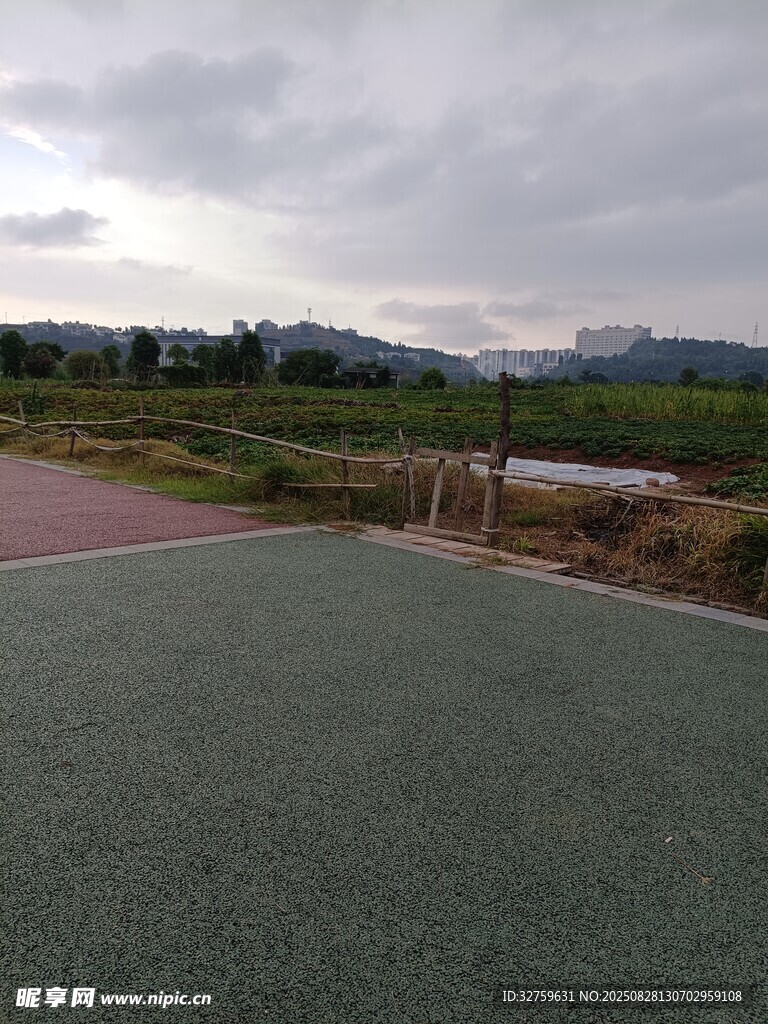 戶外綠色場地與遠景風光