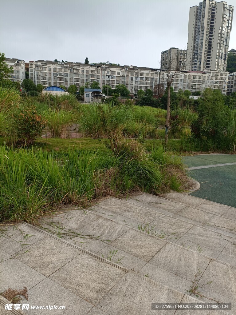 城市邊的草地與道路景觀