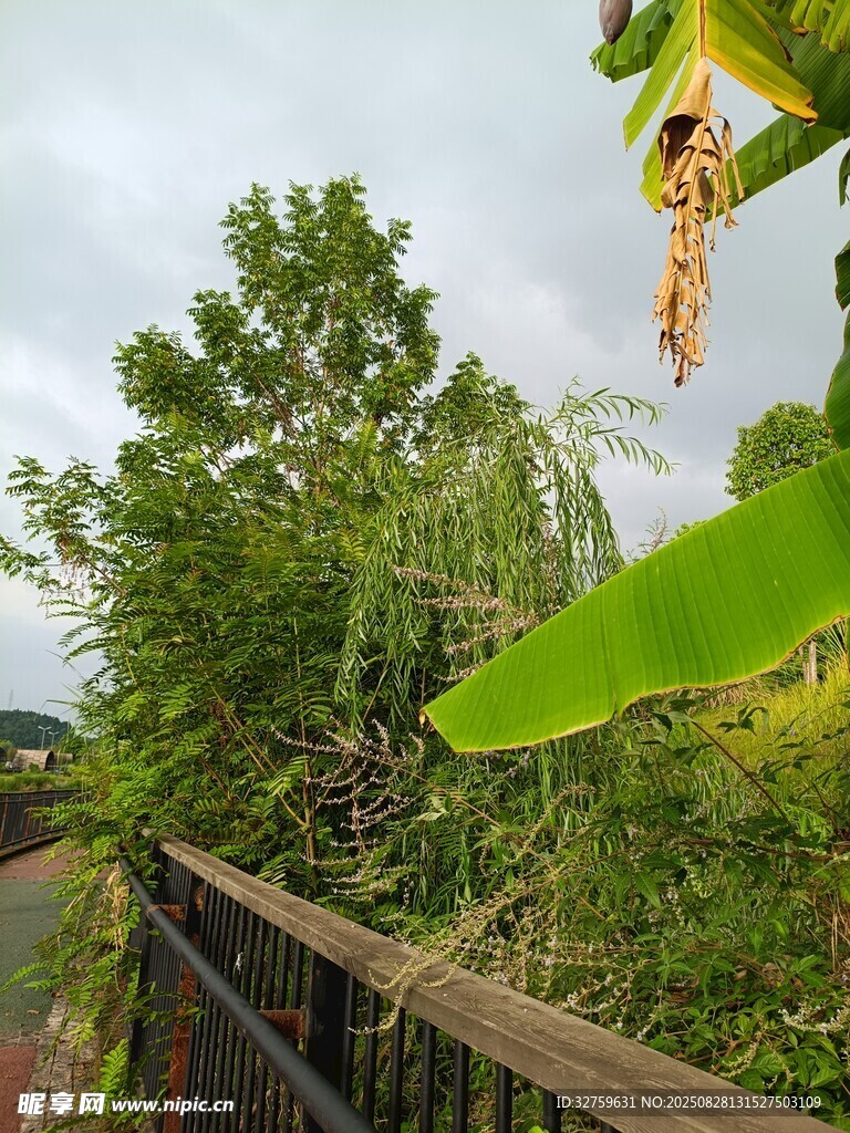 戶外綠植環(huán)繞的木質(zhì)圍欄