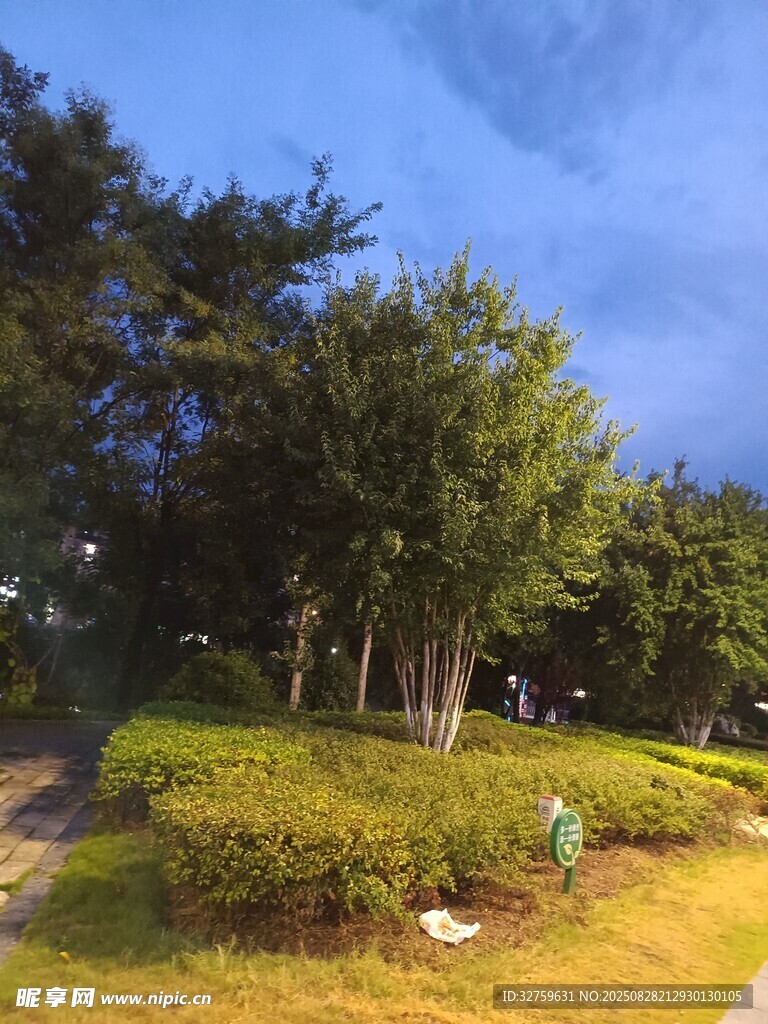 公園綠意景致