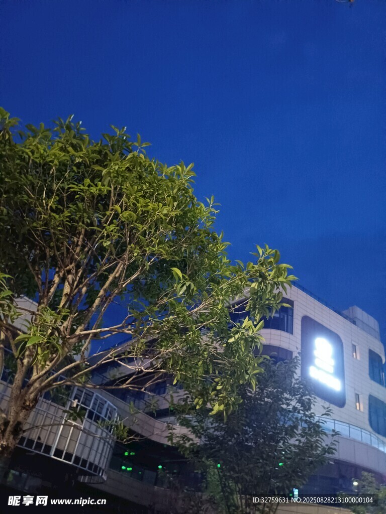 夜幕下的建筑與綠樹