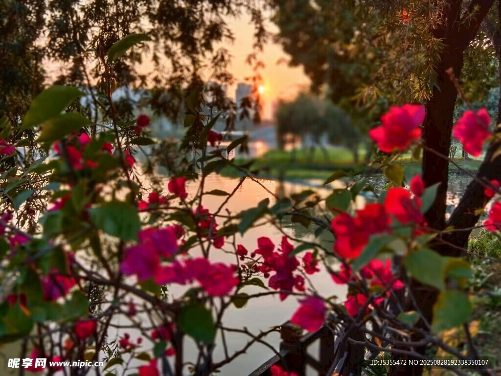 夕陽(yáng)下繁花盛開(kāi)的湖畔