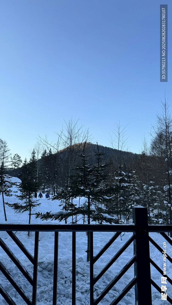 冬日雪景中的圍欄景觀