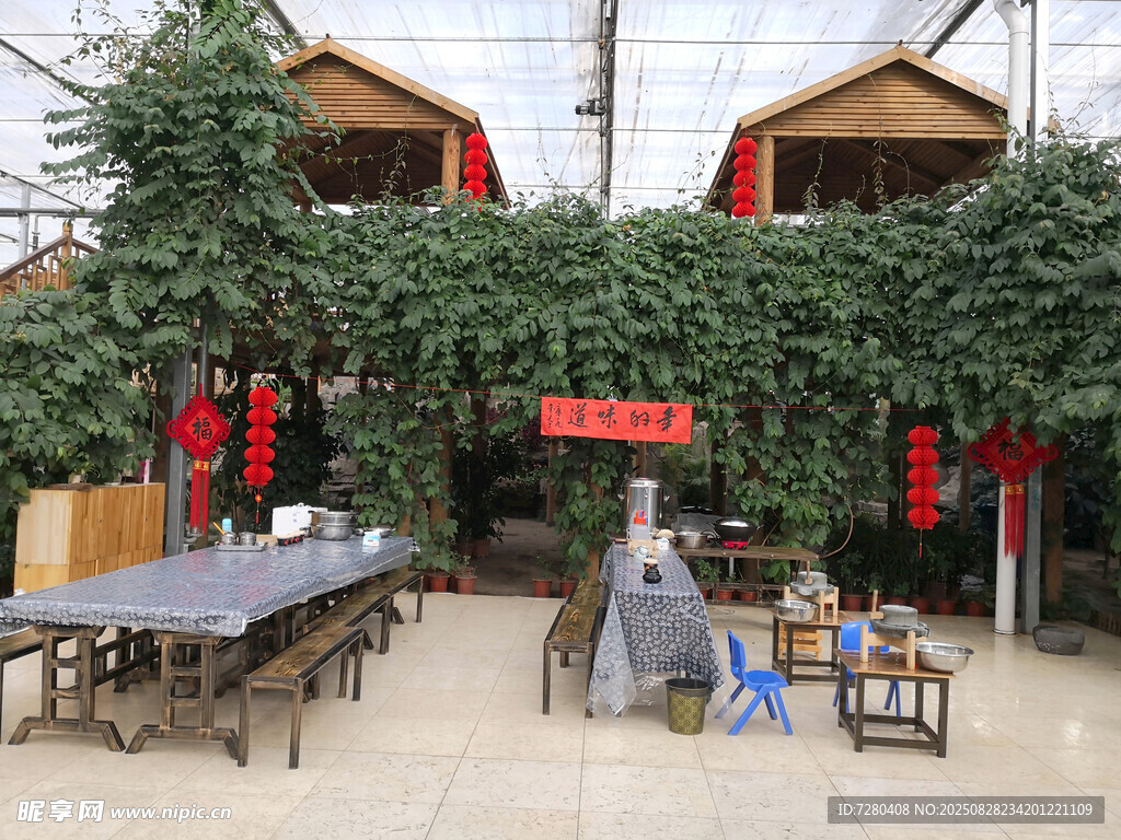 鄉(xiāng)村小院綠植環(huán)繞的閑適空間