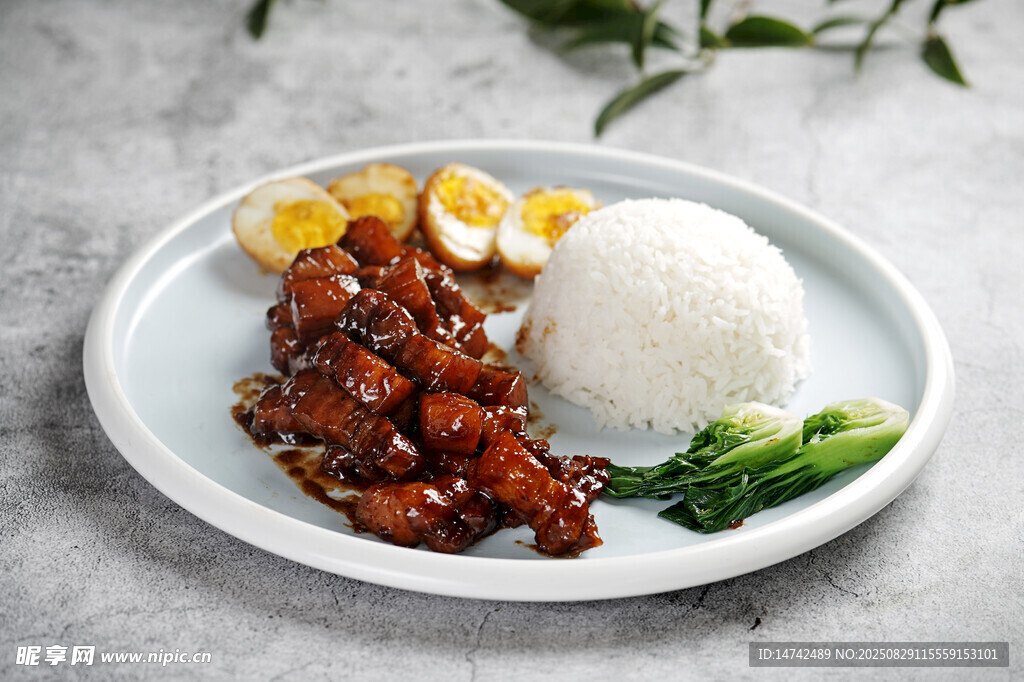 紅燒肉蓋澆飯