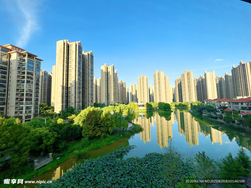 河畔高樓林立的城市美景
