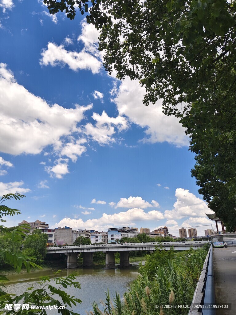 河畔風(fēng)景