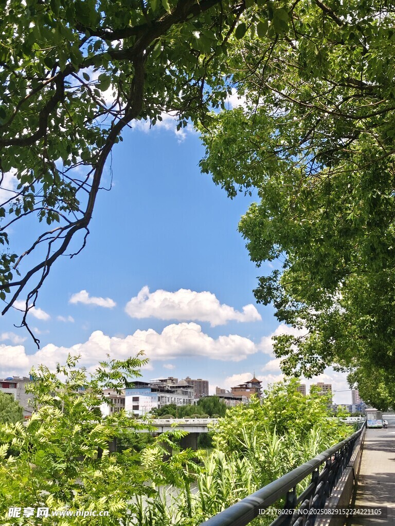 綠蔭下的河畔步道