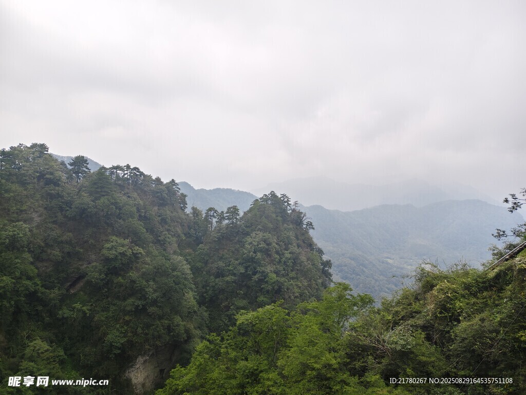 云霧繚繞的山林美景