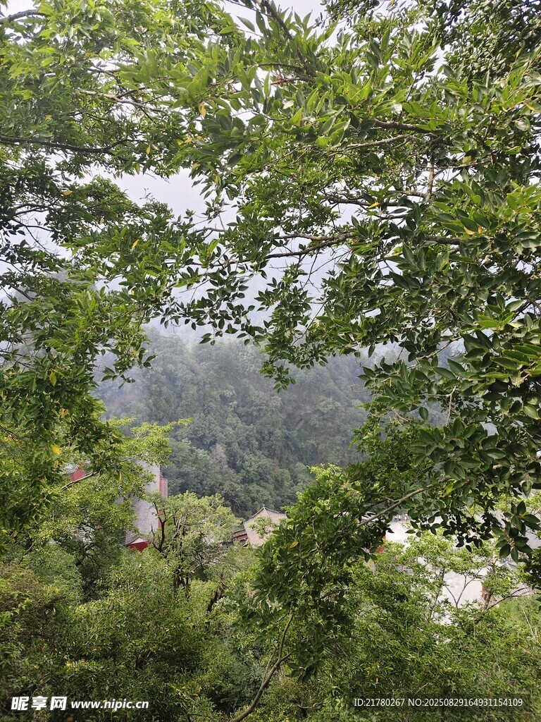 山林景觀