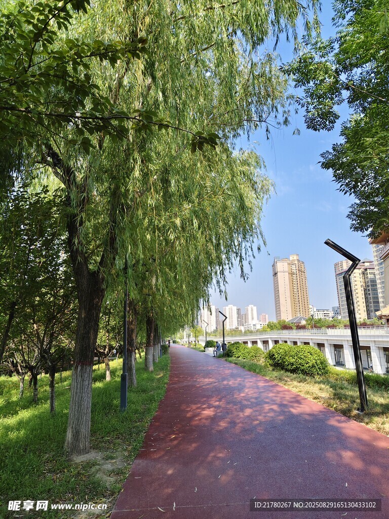 城市林蔭步道