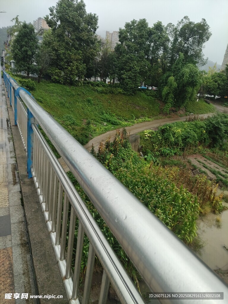 橋上視角護欄與自然景致