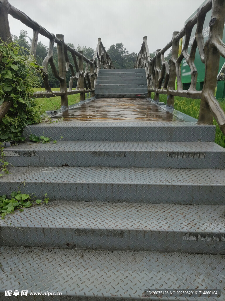 雨中金屬階梯與周邊綠植景觀