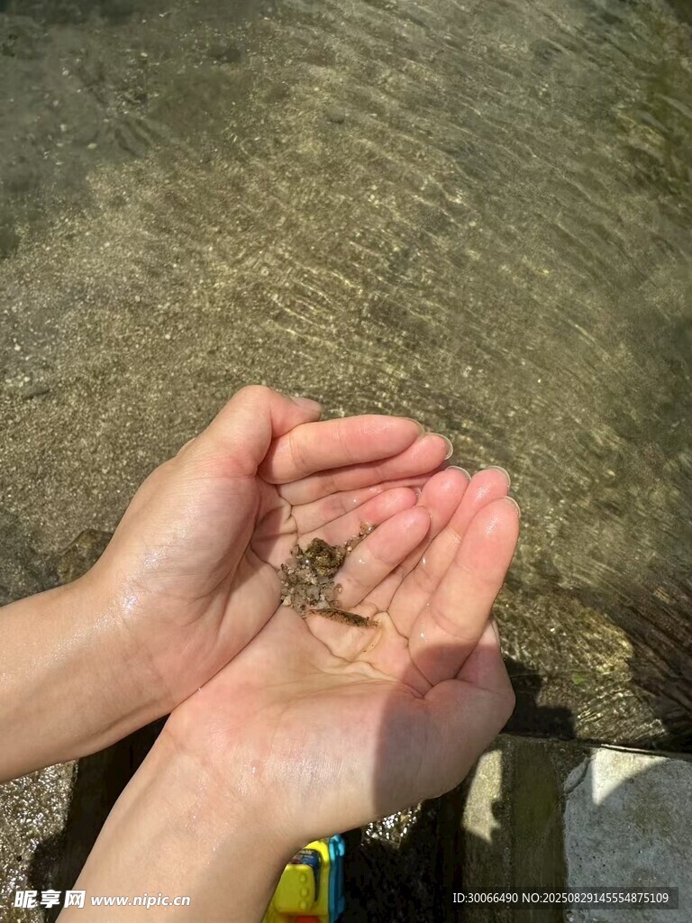 小蝦