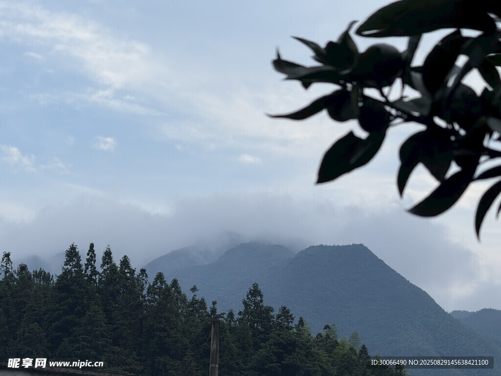 山