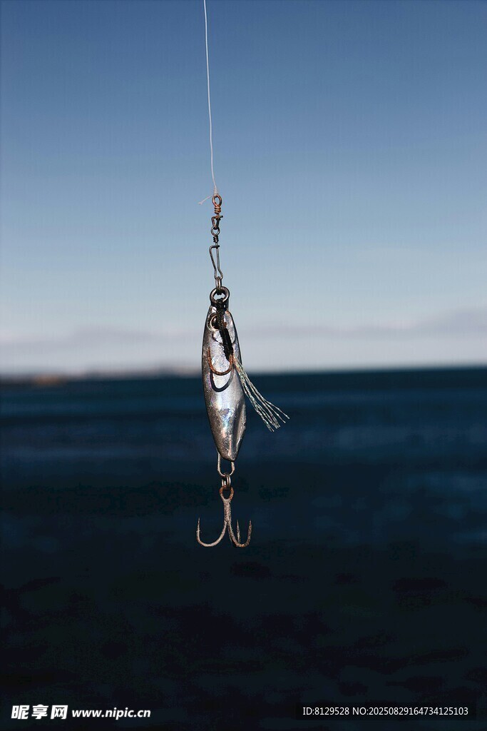 魚鉤掛著魚于海面
