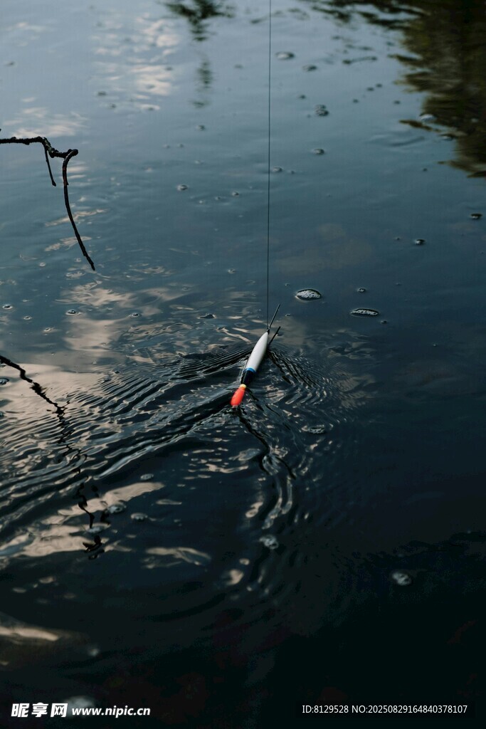 水面上的釣魚浮漂