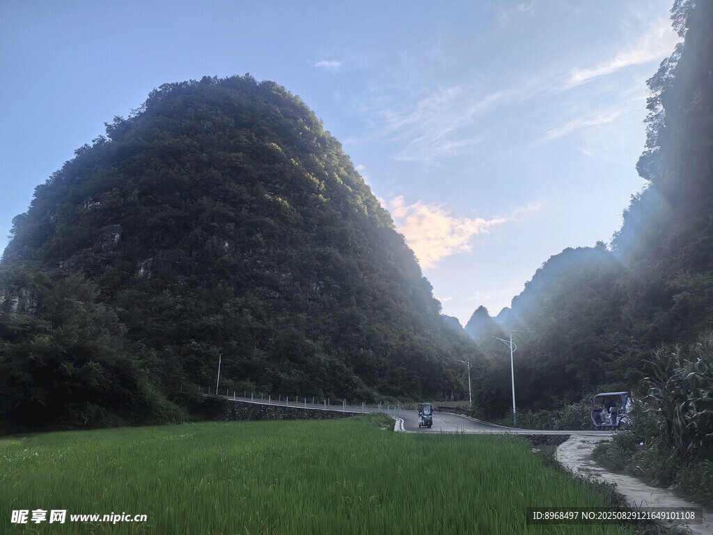 山