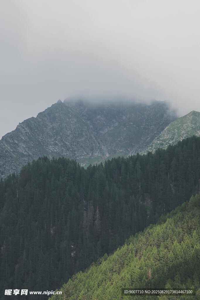 云霧繚繞的青山美景
