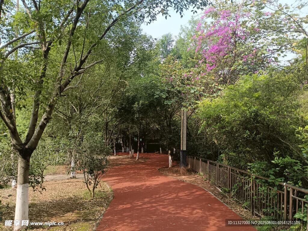 林間跑道
