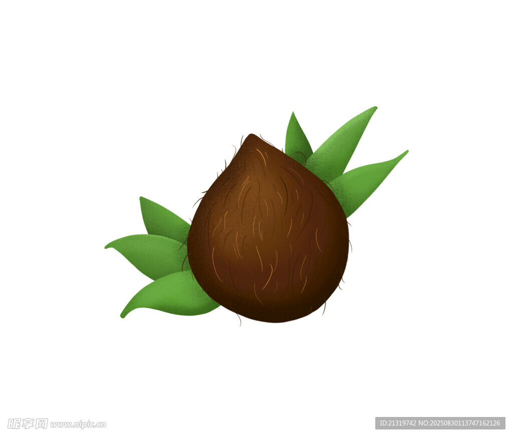椰子插畫