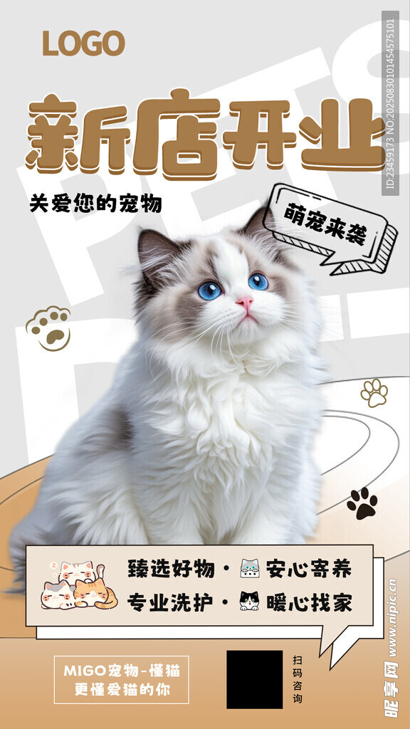 新店開業(yè) 可愛貓咪 寵物店