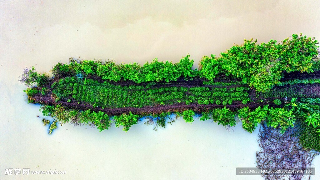 翠綠植物墻裝飾景觀