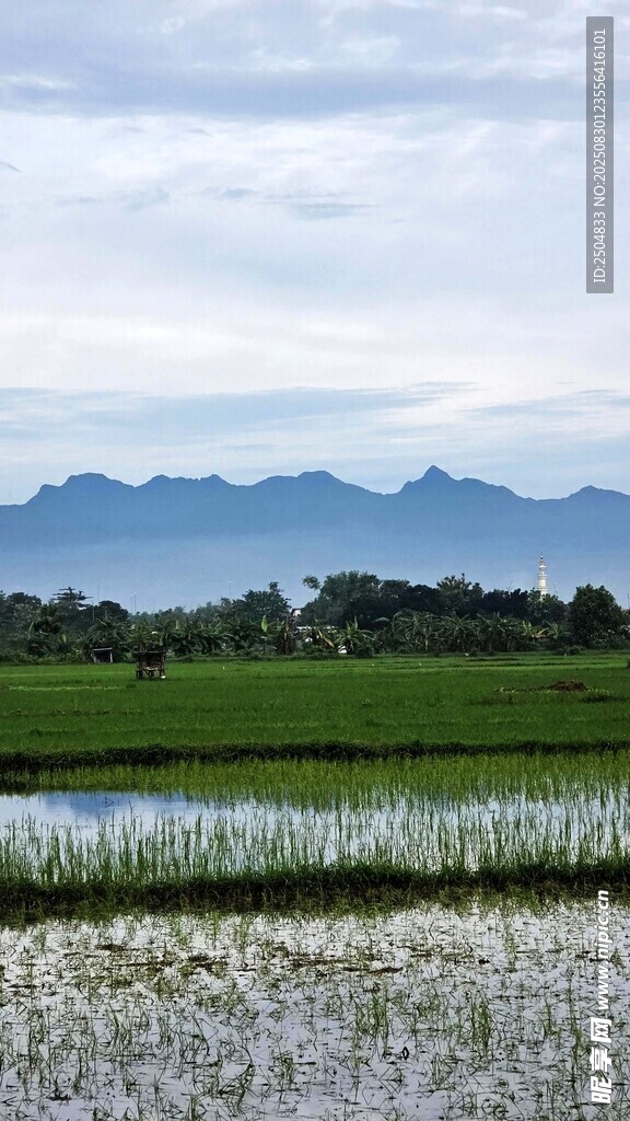田園水鄉(xiāng)美景