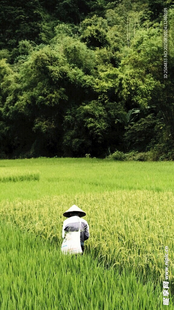 田間勞動(dòng)者