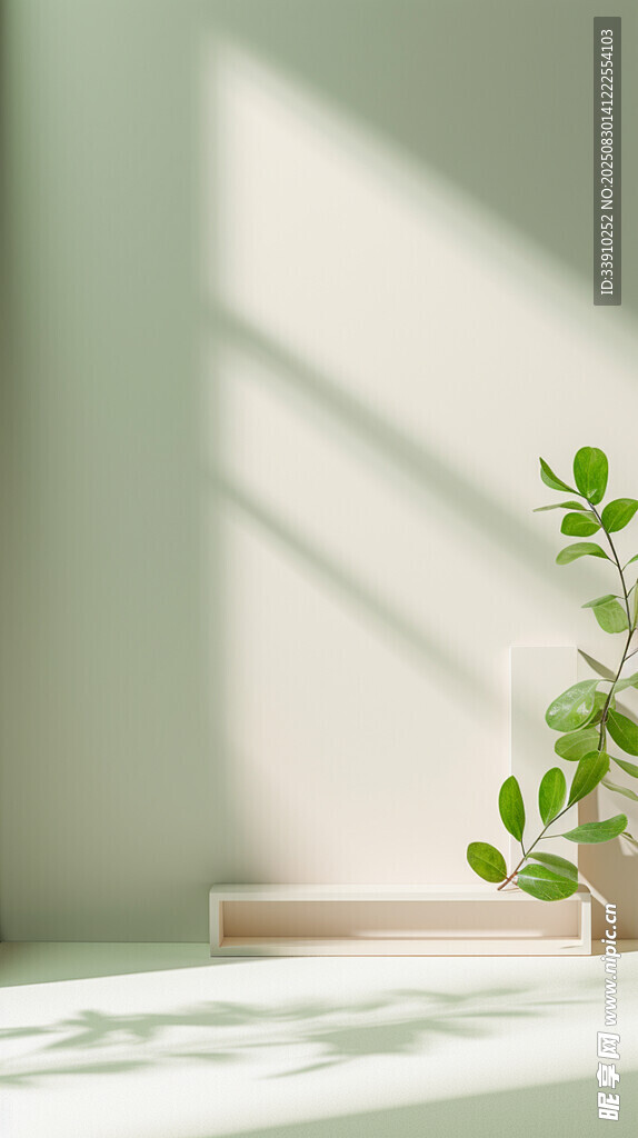 室內(nèi)綠植光影下的清新角落背景