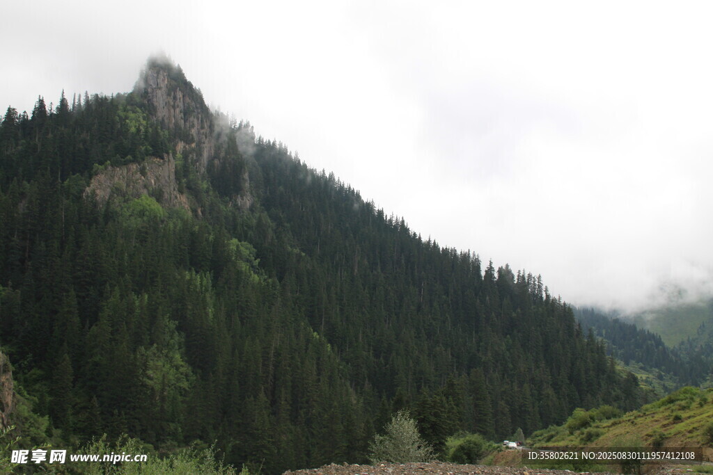 云霧繚繞的蔥郁山峰