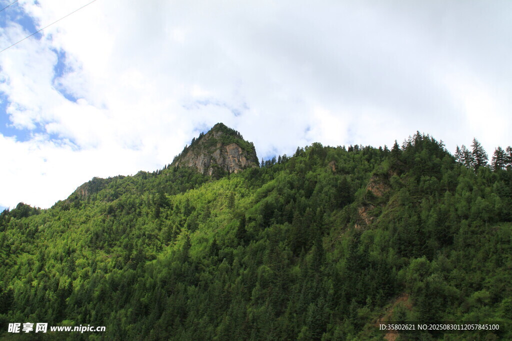 青山綠樹間的秀麗山峰