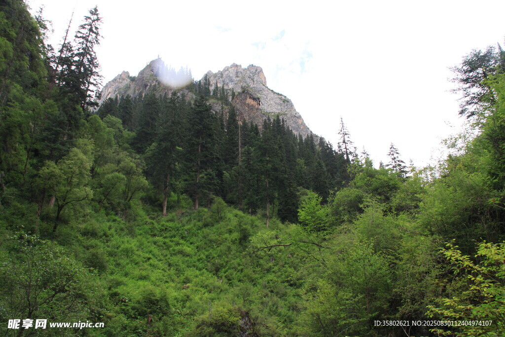 山林中的巍峨山峰