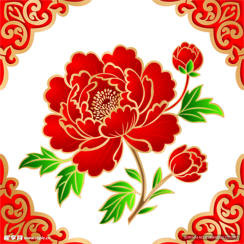牡丹花
