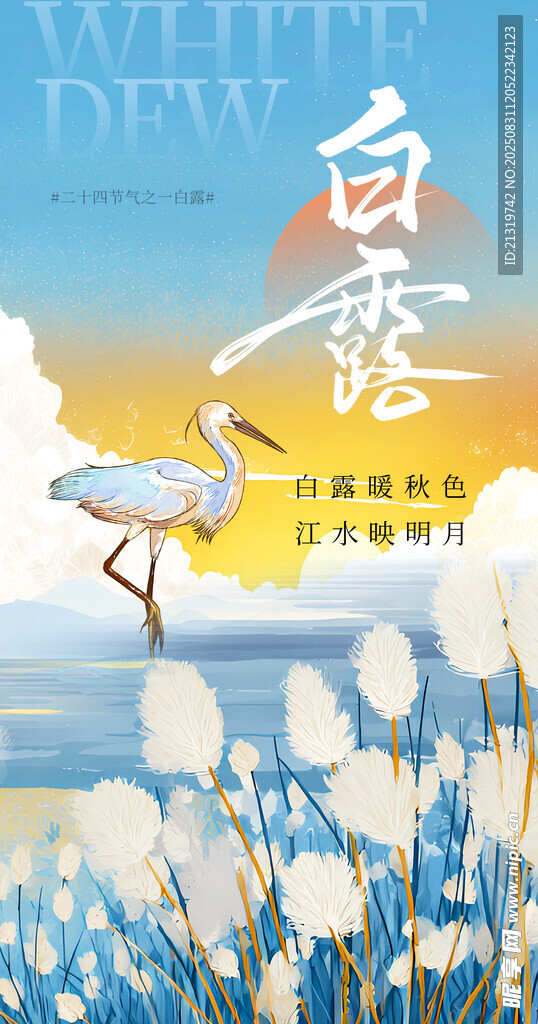 白露時(shí)節(jié)白鷺立于蘆葦間