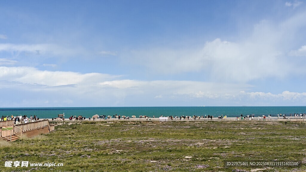 海邊開闊草地風(fēng)景