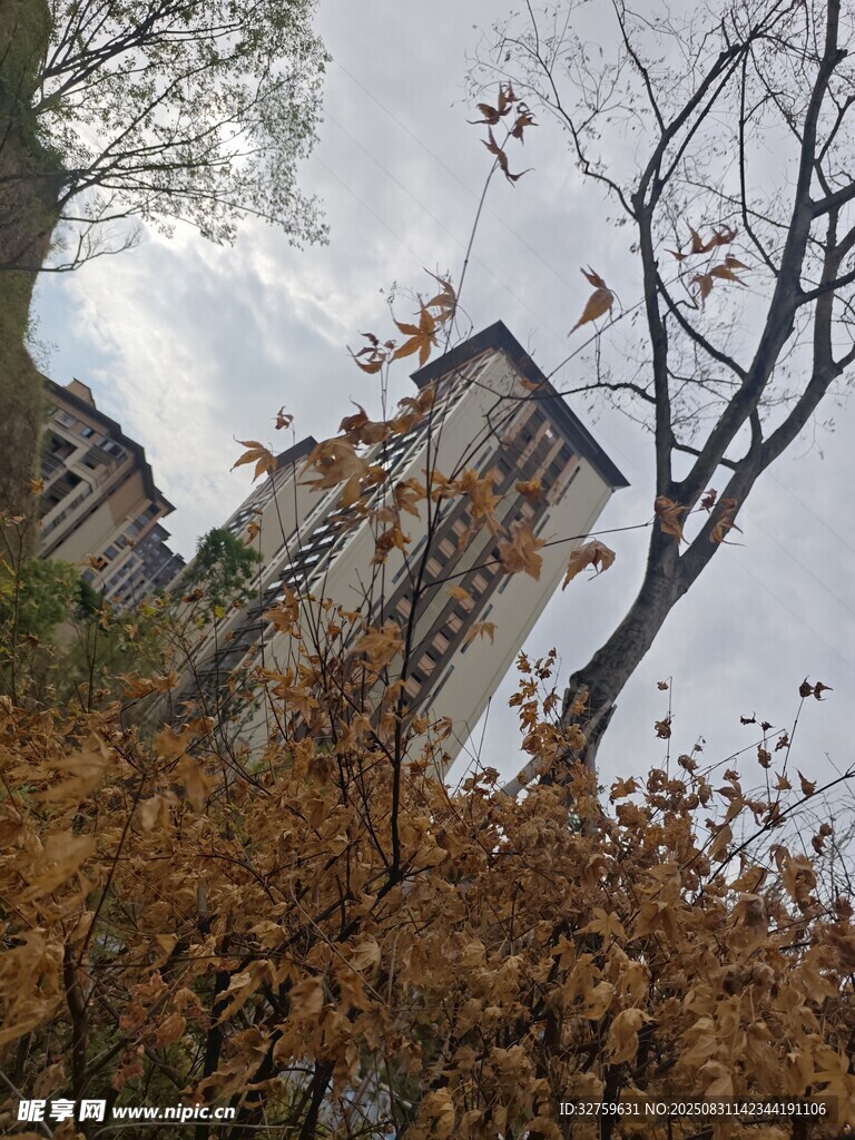 秋日林間的古老建筑