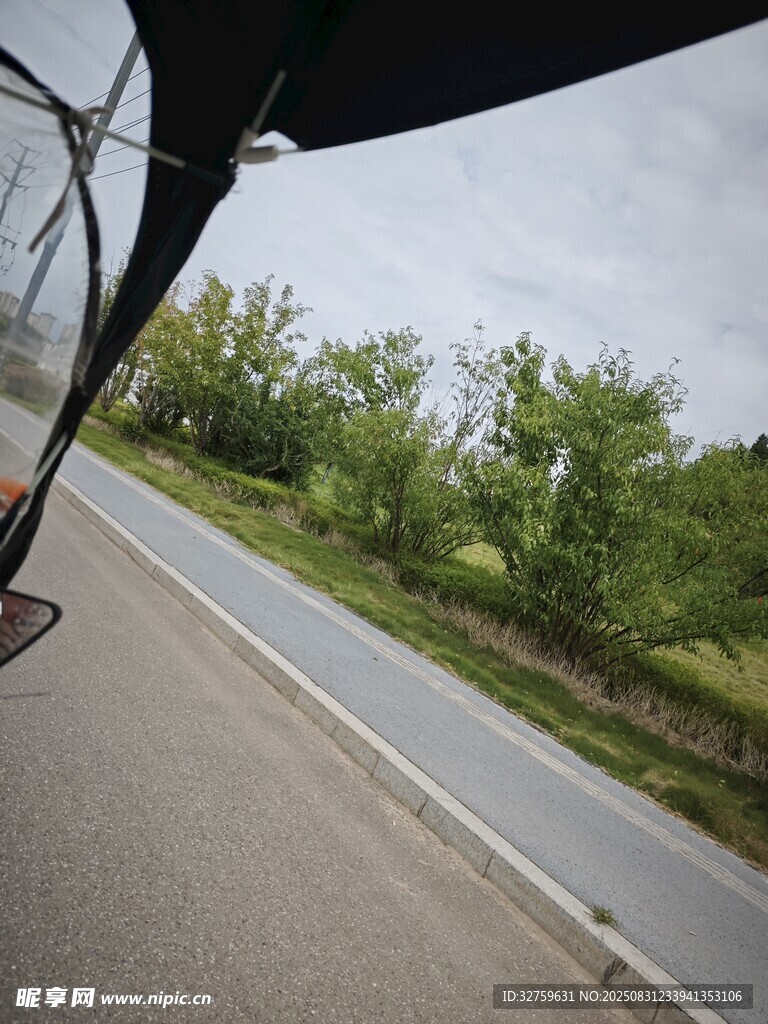 車窗外的綠意公路景色