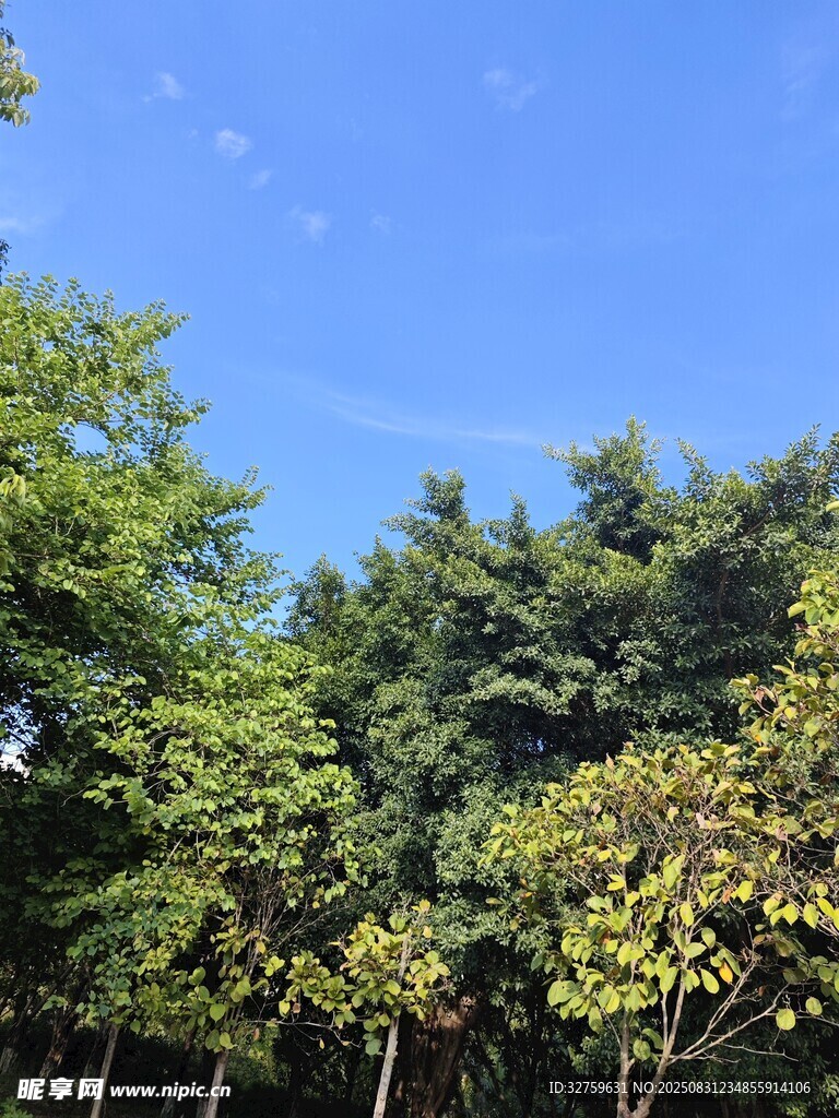 藍(lán)天綠樹風(fēng)景圖