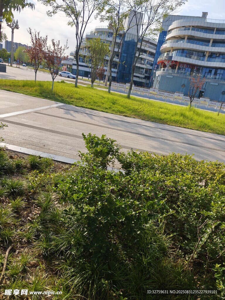 城市路邊綠植與建筑景觀