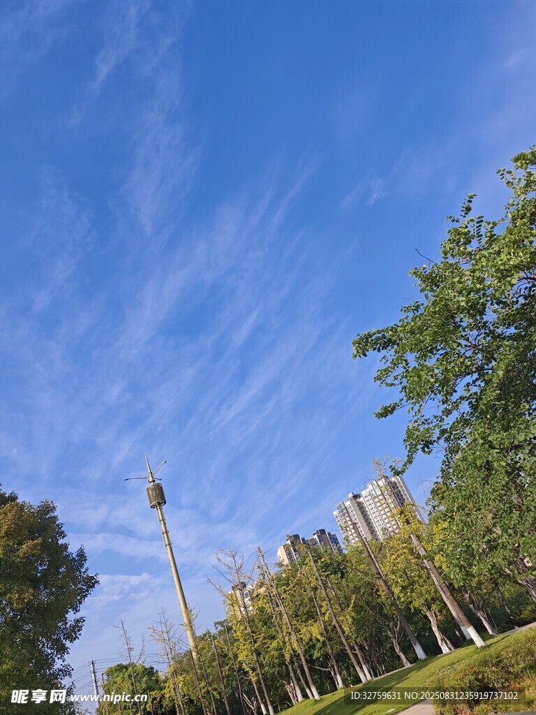 藍(lán)天綠樹(shù)間的城市景致