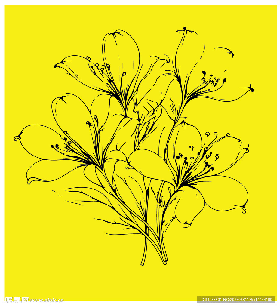 金銀花