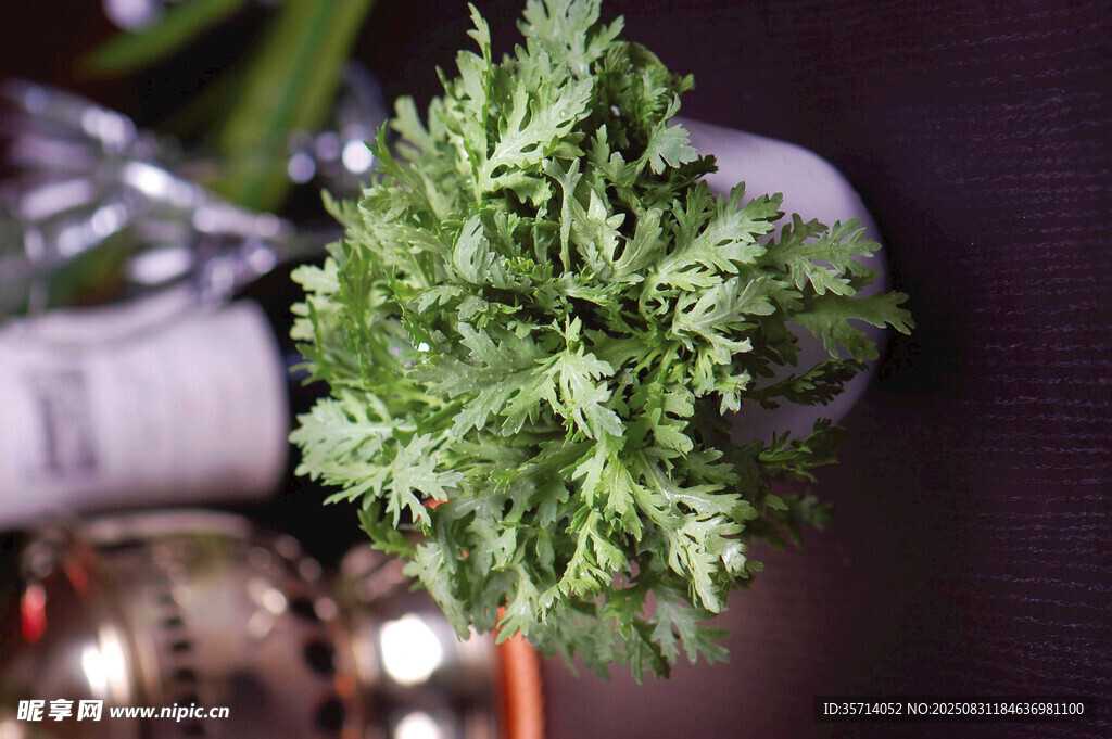 清新綠植盆栽