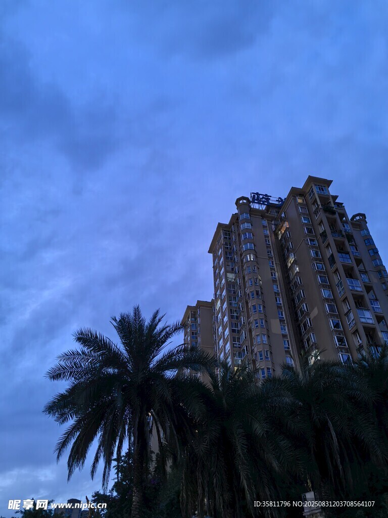 黃昏下的高樓與棕櫚樹