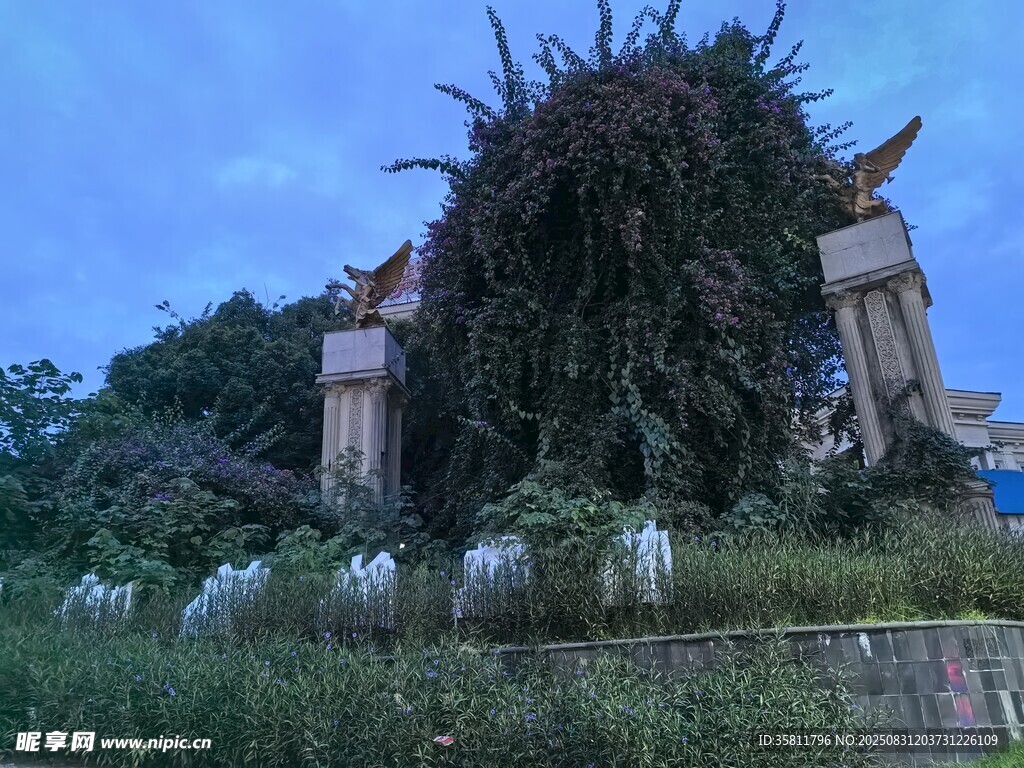 古老建筑被綠植覆蓋