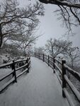 老君山的雪天