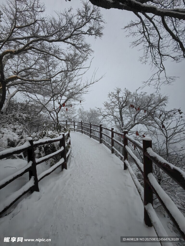老君山的雪天