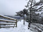 老君山的雪天