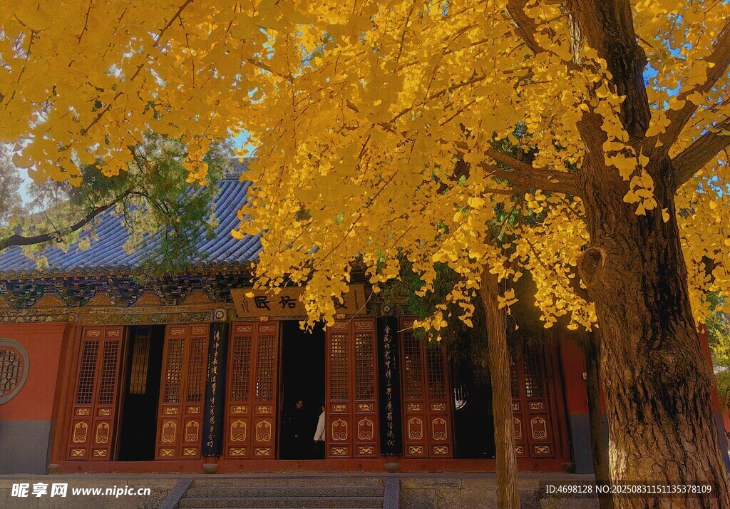 洛陽(yáng)白馬寺